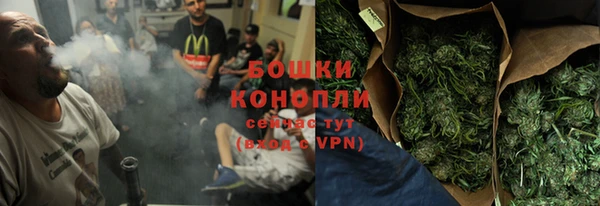 дживик Аркадак