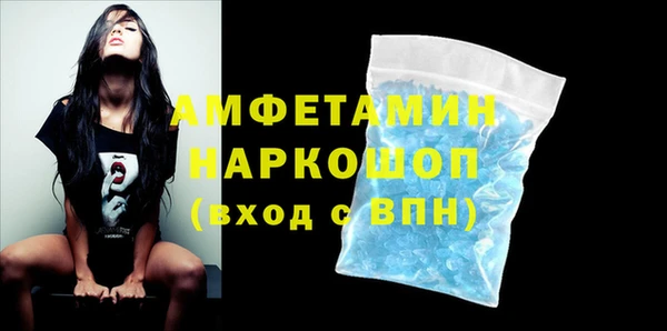 индика Арсеньев