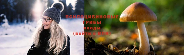 спиды Армянск