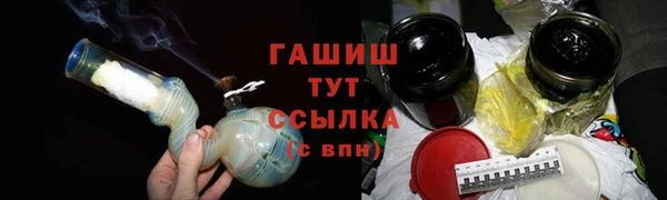 индика Арсеньев