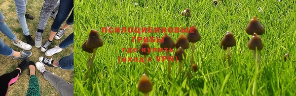дживик Аркадак