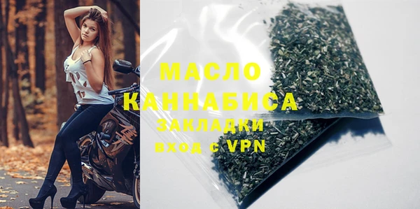 индика Арсеньев