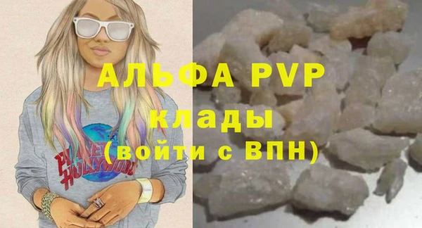 индика Арсеньев